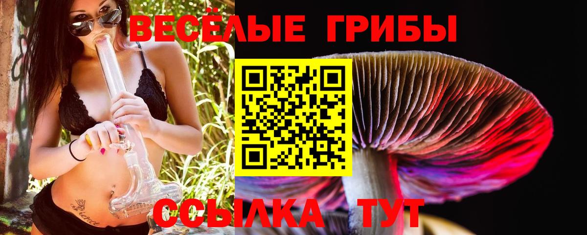 купить  цена  Псилоцибиновые грибы MAGIC MUSHROOMS  Вход с VPN  Геленджик 